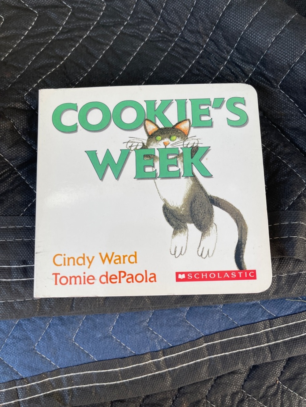 Scholastic Children's Book with Green Title and Illustrated Cat